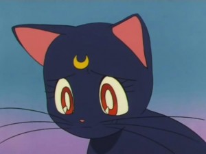 screenshot-anime-sailor-moon-super-s-episode-164-016.jpg