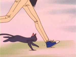 SailorMoon-s1-012(292).jpg