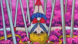 Sailormoon-R (1408).jpg