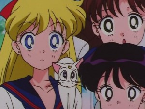 screenshot-anime-sailor-moon-sailor-stars-episode-178-256.JPG