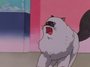screenshot-anime-sailor-moon-sailor-stars-episode-178-340.JPG