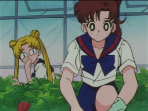 screenshot-anime-sailor-moon-sailor-stars-episode-179-058.JPG