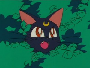 screenshot-anime-sailor-moon-super-s-episode-131-335.jpg