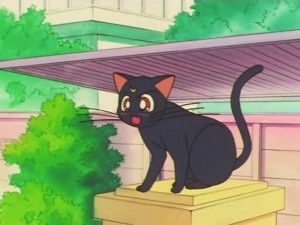 screenshot-anime-sailor-moon-super-s-episode-133-051.jpg