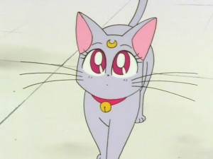 screenshot-anime-sailor-moon-super-s-episode-133-080.jpg