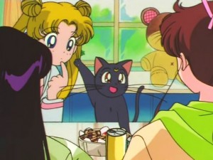 screenshot-anime-sailor-moon-super-s-episode-133-194.jpg