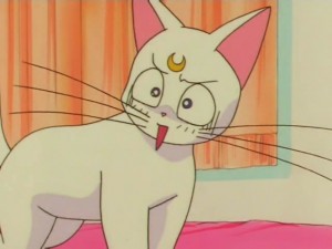 screenshot-anime-sailor-moon-super-s-episode-141-134.jpg