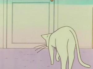 screenshot-anime-sailor-moon-super-s-episode-141-140.jpg