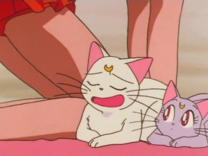 screenshot-anime-sailor-moon-super-s-episode-144-152.jpg