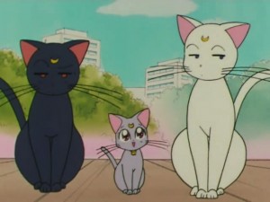 screenshot-anime-sailor-moon-super-s-episode-151-045.jpg