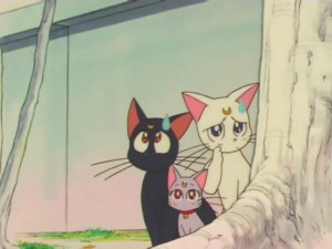 screenshot-anime-sailor-moon-super-s-episode-152-185.jpg