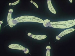 screenshot-anime-sailor-moon-super-s-episode-164-463.jpg
