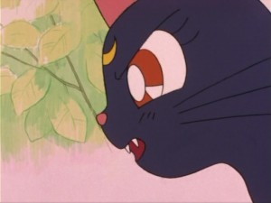 SailorMoon-s1-004(234).jpg