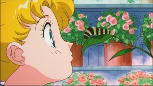 Sailormoon-R (164).jpg
