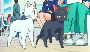 SailormoonS-movie (137).jpg