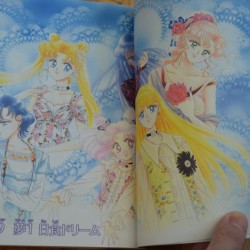 sailor_moon_manga_complete_editions_colour_pages_act_39-1024x680.jpg