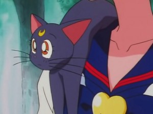 screenshot-anime-sailor-moon-sailor-stars-episode-176-457.jpg