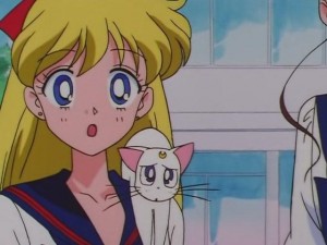 screenshot-anime-sailor-moon-sailor-stars-episode-178-253.JPG
