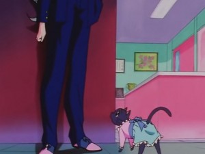 screenshot-anime-sailor-moon-sailor-stars-episode-178-381.JPG