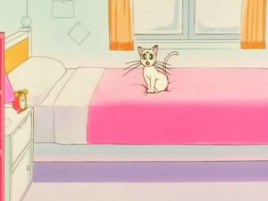 screenshot-anime-sailor-moon-sailor-stars-episode-192-019.jpg