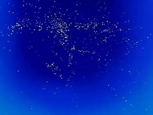 "Секрет" из 187 эпизода