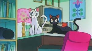 Sailormoon-R (334).jpg