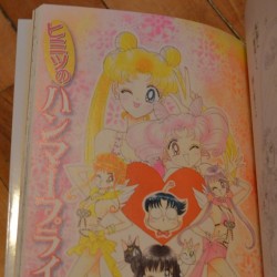 sailor_moon_manga_complete_collection_chibiusas_picture_diary_the_secret_of_the_hammer_price_shrine-682x1024.jpg