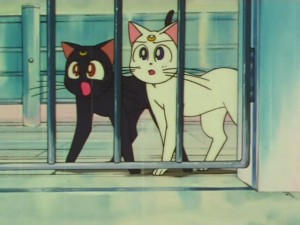 sailormoon-supers-142 (56).jpg
