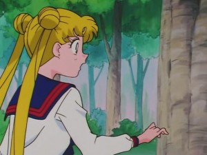 screenshot-anime-sailor-moon-sailor-stars-episode-178-080.JPG