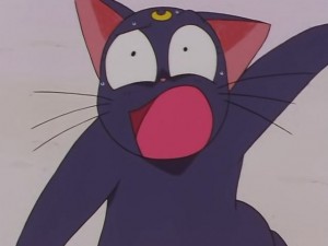 screenshot-anime-sailor-moon-sailor-stars-episode-178-136.JPG