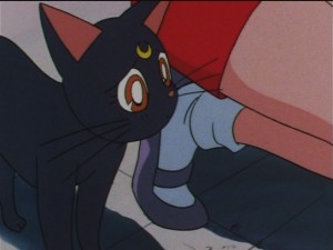 screenshot-anime-sailor-moon-sailor-stars-episode-182-121.JPG