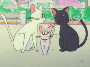 screenshot-anime-sailor-moon-super-s-episode-133-480.jpg