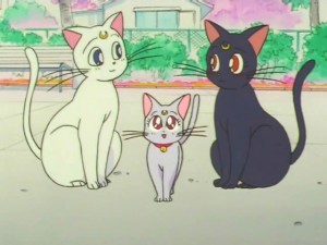 screenshot-anime-sailor-moon-super-s-episode-133-484.jpg