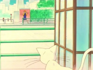 screenshot-anime-sailor-moon-super-s-episode-141-194.jpg