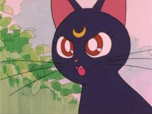 SailorMoon-s1-004(230).jpg