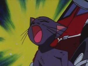 screenshot-anime-sailor-moon-sailor-stars-episode-178-006.JPG