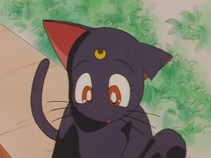 screenshot-anime-sailor-moon-sailor-stars-episode-178-116.JPG