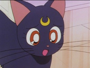 screenshot-anime-sailor-moon-sailor-stars-episode-184-038.JPG