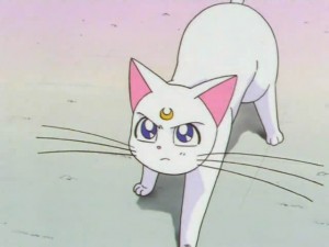 screenshot-anime-sailor-moon-super-s-episode-133-334.jpg
