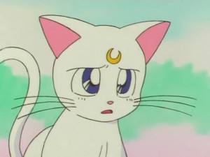 screenshot-anime-sailor-moon-super-s-episode-133-481.jpg