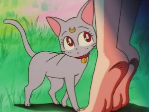 screenshot-anime-sailor-moon-super-s-episode-137-201.jpg