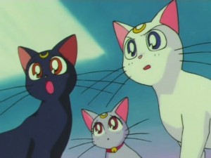 screenshot-anime-sailor-moon-super-s-episode-162-495.jpg