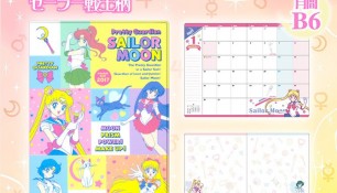 Новые товары по "Сейлор Мун"
