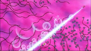 Sailormoon-R (1187).jpg