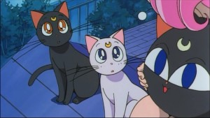 Sailormoon-R (1699).jpg