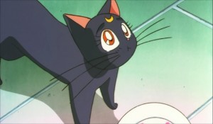 SailormoonS-movie (386).jpg