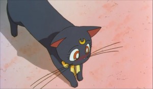 SailormoonS-movie (993).jpg