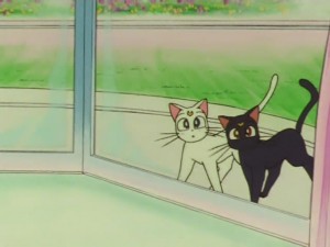 sailormoon-supers-142 (73).jpg