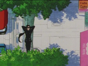 screenshot-anime-sailor-moon-sailor-stars-episode-181-035.JPG