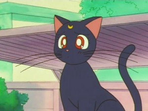 screenshot-anime-sailor-moon-super-s-episode-133-056.jpg